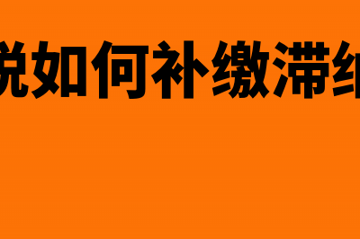 个税如何补缴?(个税如何补缴滞纳金)