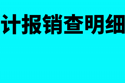 报销多报了审计如何处理(审计报销查明细吗)