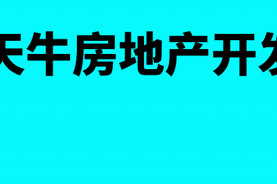 房地产开发项目竣工结算账务处理(南和天牛房地产开发项目)