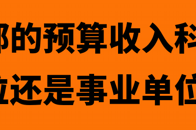 预算收入支出表是年报吗？(预算收入支出表怎么填)