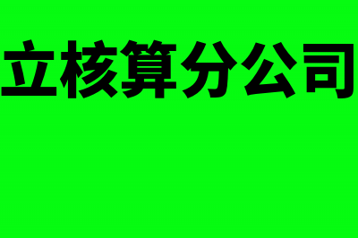 异地非独立核算分支机构增值税(异地非独立核算分公司缴纳社保公积金)