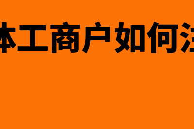 个体户如何缴个税(个体户怎样交个人所税)