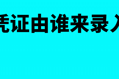 谁出凭证谁就是经办吗(凭证由谁来录入)