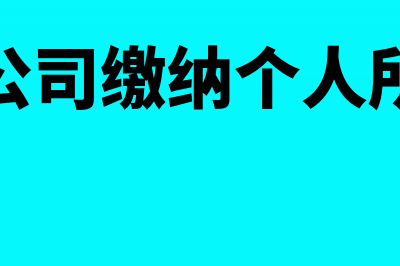 哪些企业交个人所得税？(什么公司缴纳个人所得税)