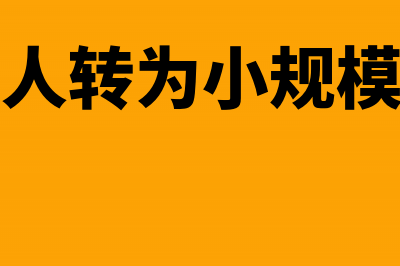 银行存款明细账怎么登(银行存款明细账怎么看)