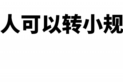 一般纳税人可以简易计税吗(一般纳税人可以转小规模纳税人吗)