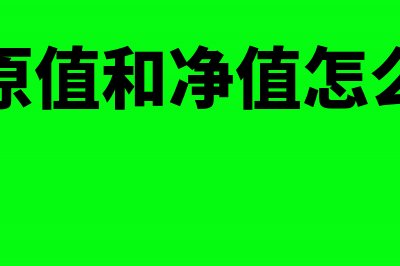 资产原值和净值怎么算(资产原值和净值怎么计算)