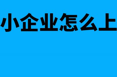 中小企业申请税收优惠的前提条件(中小企业怎么上税)