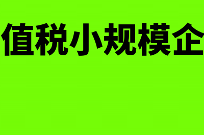 增值税一般纳税人是否还有辅导期(增值税一般纳税人和小规模纳税人的区别)