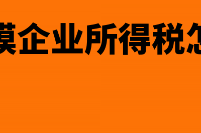 劳务公司个人所得税怎么报？(劳务公司个人所得税怎么征收)