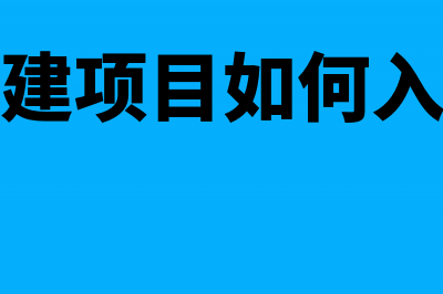 代建工程怎么走记账凭证?(代建项目如何入账)