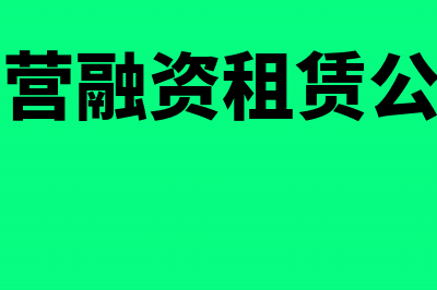 私营公司融资租入固定资产怎么核算(民营融资租赁公司)