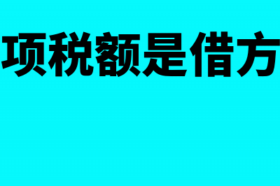 单位购买车牌竞价费用如何入账(购买公司车牌指标)