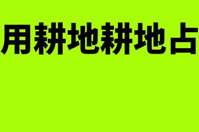 新征土地耕地占用税如何做账?(新征用耕地耕地占用税)