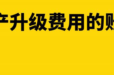 无形资产升级费用如何处理(无形资产升级费用的账务处理)