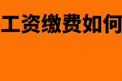 个人工资缴费如何做账务处理?(个人工资缴费如何缴纳)