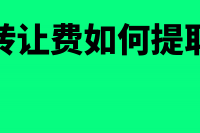 旅游业一般纳税人差额征税怎样做账?(旅游业一般纳税人税率)