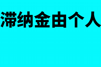 税款滞纳金由个人承担合法吗？(税款滞纳金由个人承担)