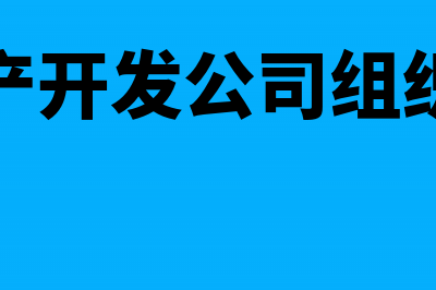 房地产开发公司把产品换取非货币性资产奖励给员工算销售吗(房地产开发公司组织架构)