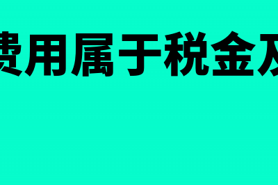 所得税费用属于期间费用吗？(所得税费用属于税金及附加吗)