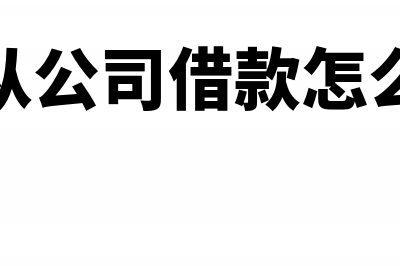 个人从单位借入外币如何记账?(个人从公司借款怎么做账)